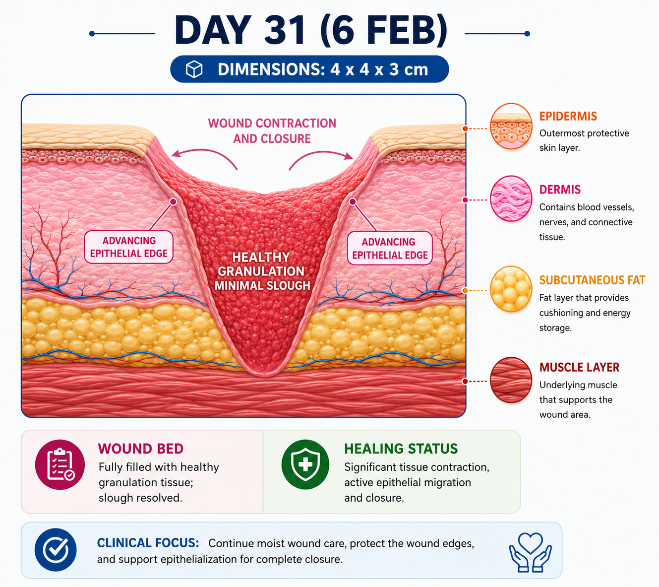 Day 31 wound illustration